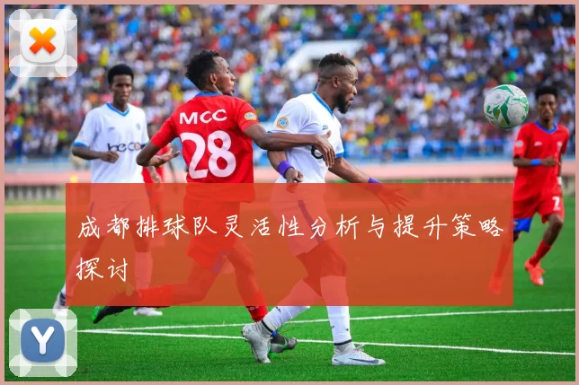成都排球队灵活性分析与提升策略探讨