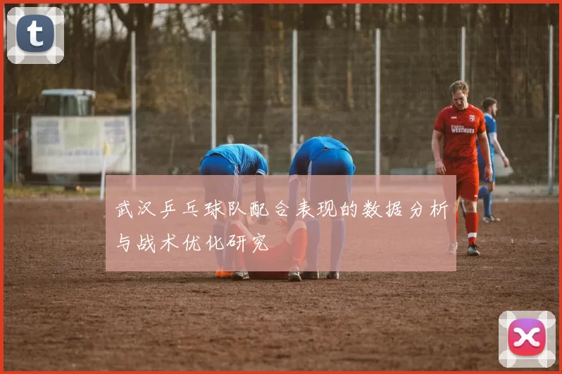 武汉乒乓球队配合表现的数据分析与战术优化研究