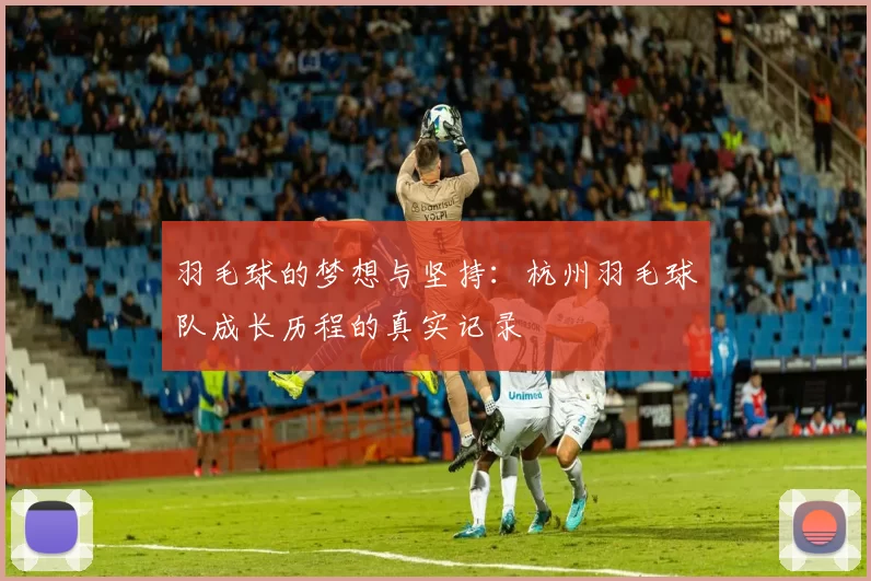 羽毛球的梦想与坚持：杭州羽毛球队成长历程的真实记录