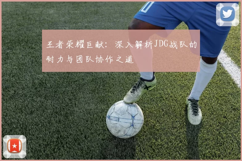 王者荣耀巨献：深入解析JDG战队的耐力与团队协作之道
