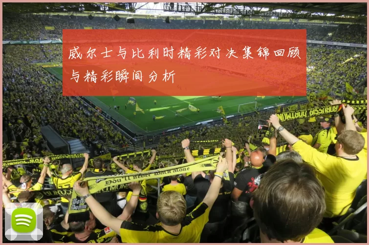 威尔士与比利时精彩对决集锦回顾与精彩瞬间分析