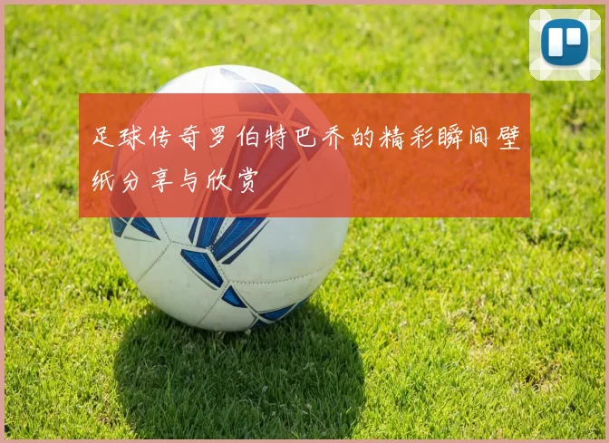 足球传奇罗伯特巴乔的精彩瞬间壁纸分享与欣赏