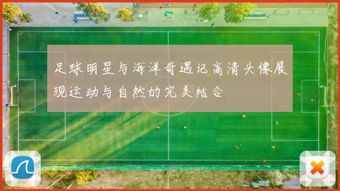 足球明星与海洋奇遇记高清头像展现运动与自然的完美结合