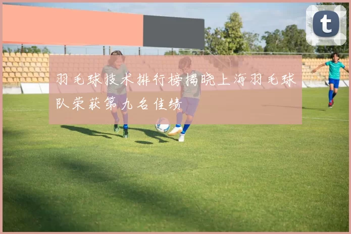 羽毛球技术排行榜揭晓上海羽毛球队荣获第九名佳绩