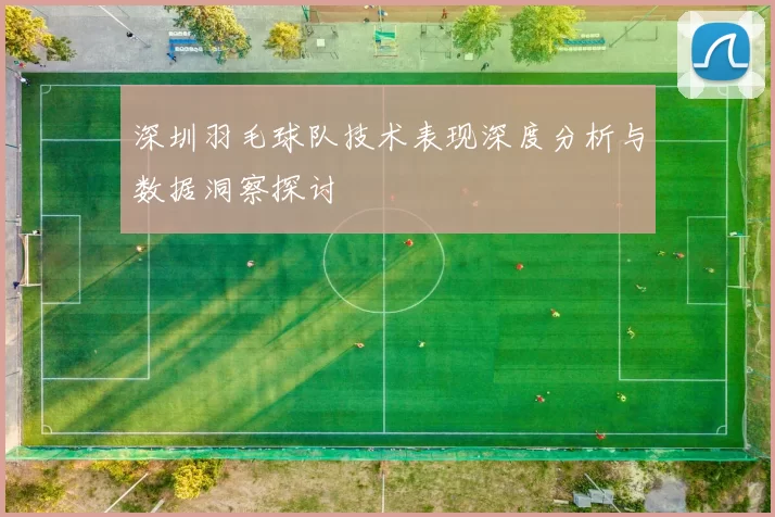 深圳羽毛球队技术表现深度分析与数据洞察探讨
