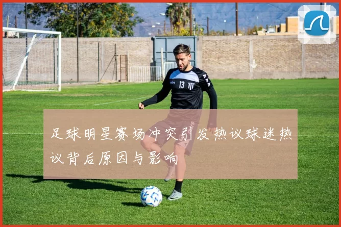 足球明星赛场冲突引发热议球迷热议背后原因与影响