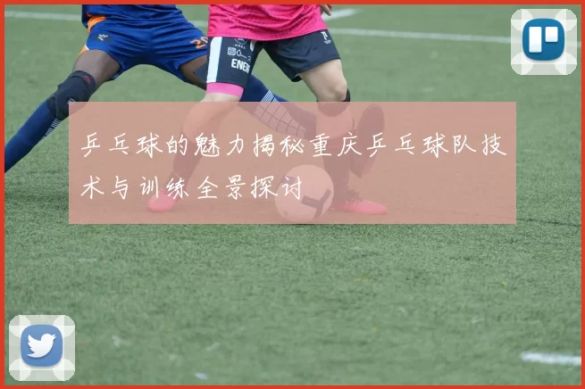 乒乓球的魅力揭秘重庆乒乓球队技术与训练全景探讨