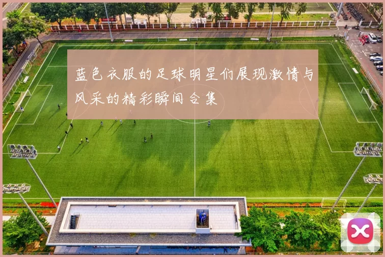 蓝色衣服的足球明星们展现激情与风采的精彩瞬间合集