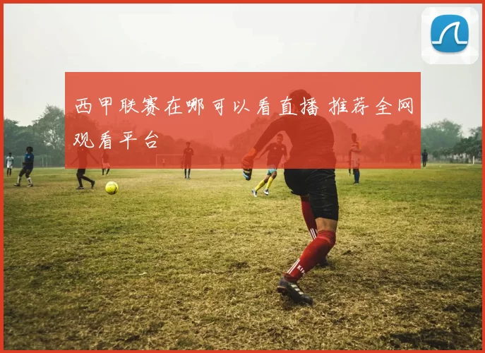 西甲联赛在哪可以看直播 推荐全网观看平台