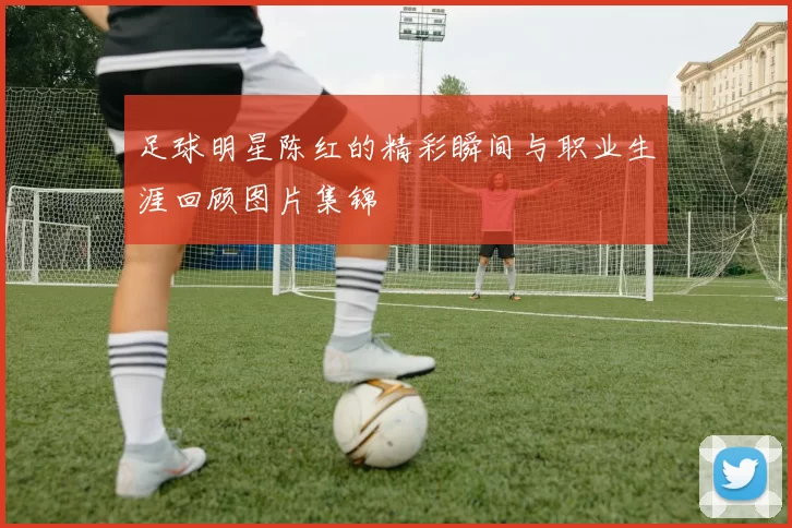 足球明星陈红的精彩瞬间与职业生涯回顾图片集锦
