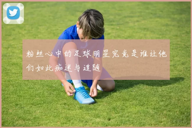粉丝心中的足球明星究竟是谁让他们如此痴迷与追随