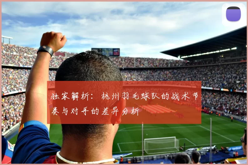 独家解析：杭州羽毛球队的战术节奏与对手的差异分析