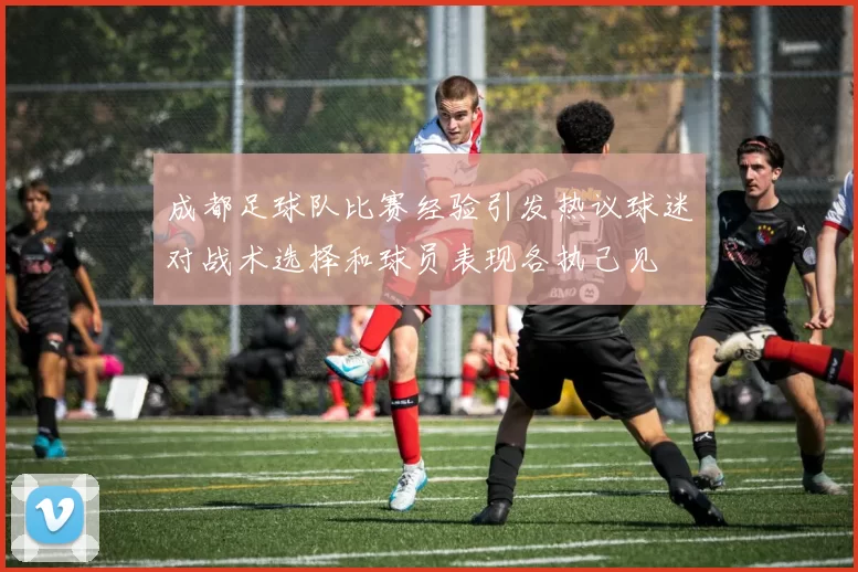 成都足球队比赛经验引发热议球迷对战术选择和球员表现各执己见