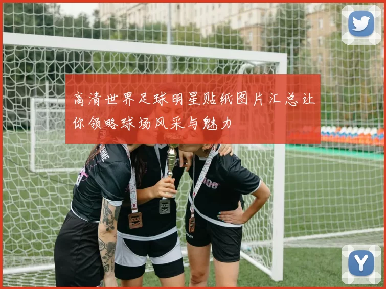 高清世界足球明星贴纸图片汇总让你领略球场风采与魅力