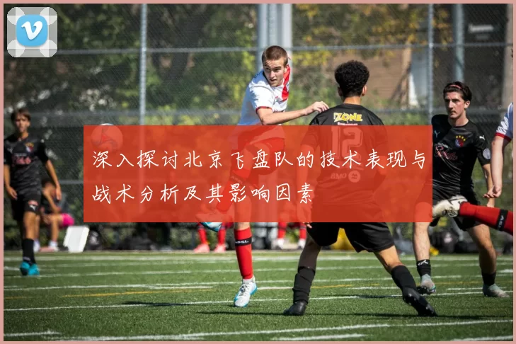 深入探讨北京飞盘队的技术表现与战术分析及其影响因素