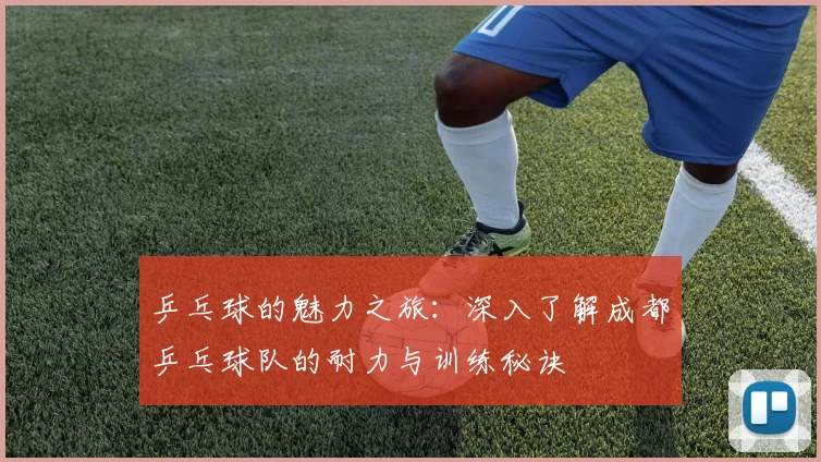 乒乓球的魅力之旅：深入了解成都乒乓球队的耐力与训练秘诀