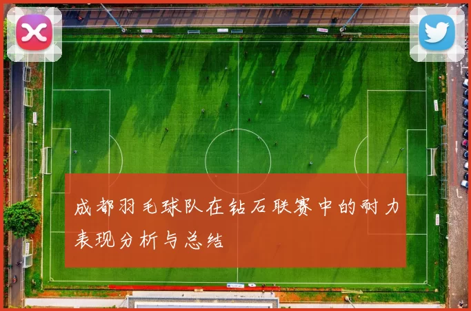 成都羽毛球队在钻石联赛中的耐力表现分析与总结