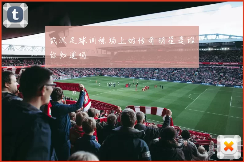 武汉足球训练场上的传奇明星是谁你知道吗