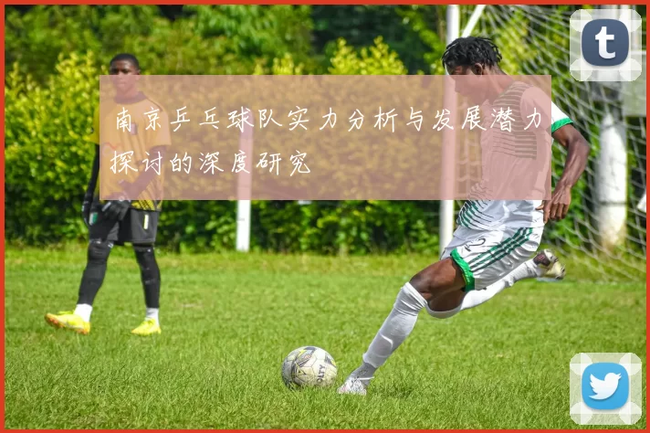 南京乒乓球队实力分析与发展潜力探讨的深度研究