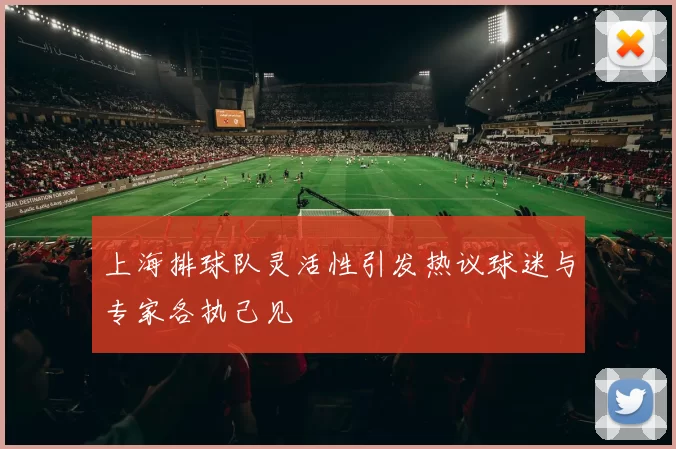 上海排球队灵活性引发热议球迷与专家各执己见
