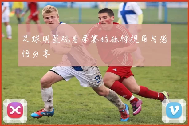 足球明星观看拳赛的独特视角与感悟分享