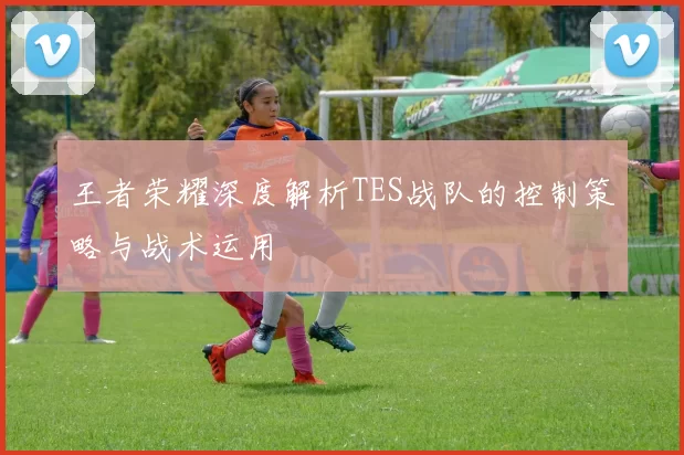 王者荣耀深度解析TES战队的控制策略与战术运用