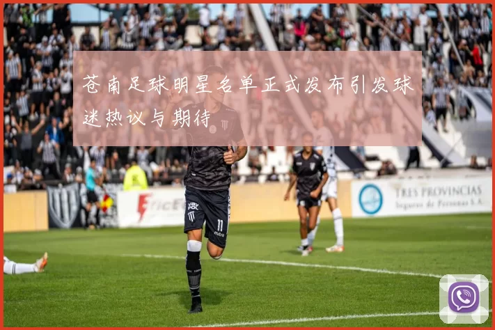 苍南足球明星名单正式发布引发球迷热议与期待