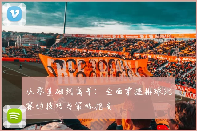 从零基础到高手：全面掌握排球比赛的技巧与策略指南