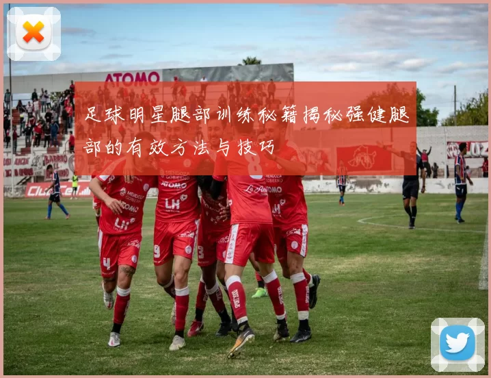 足球明星腿部训练秘籍揭秘强健腿部的有效方法与技巧
