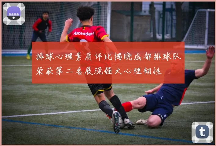排球心理素质评比揭晓成都排球队荣获第二名展现强大心理韧性