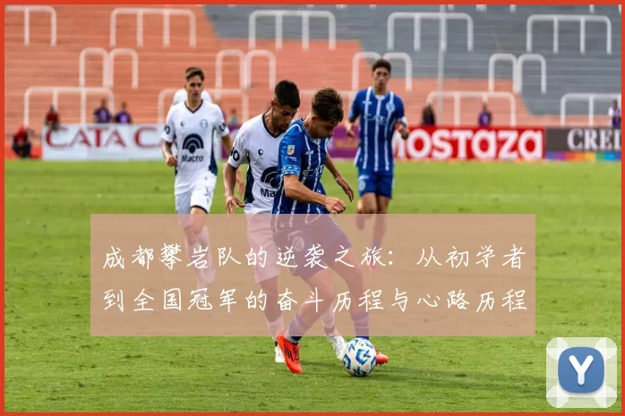 成都攀岩队的逆袭之旅：从初学者到全国冠军的奋斗历程与心路历程