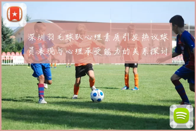 深圳羽毛球队心理素质引发热议球员表现与心理承受能力的关系探讨