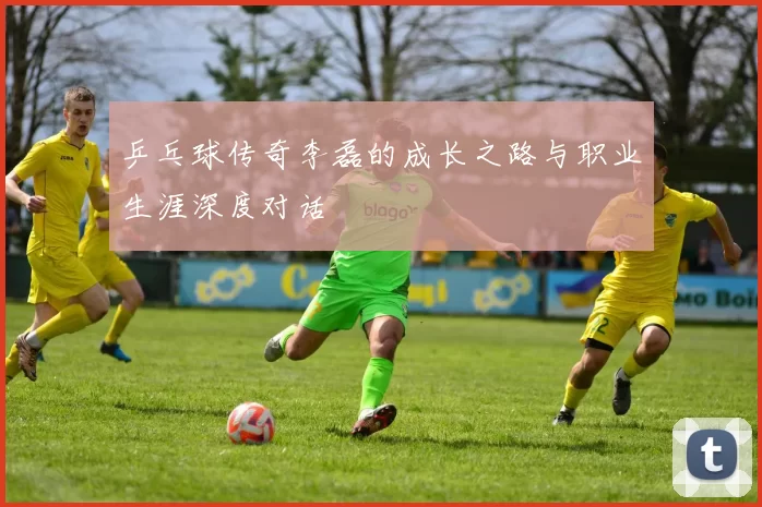乒乓球传奇李磊的成长之路与职业生涯深度对话