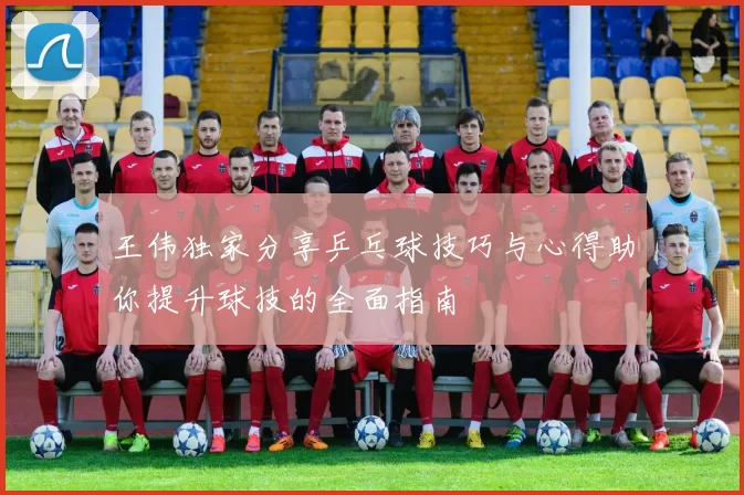 王伟独家分享乒乓球技巧与心得助你提升球技的全面指南