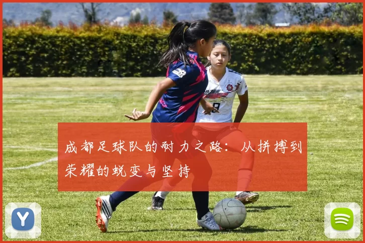 成都足球队的耐力之路：从拼搏到荣耀的蜕变与坚持