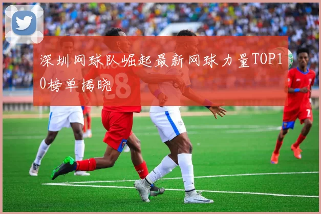 深圳网球队崛起最新网球力量TOP10榜单揭晓