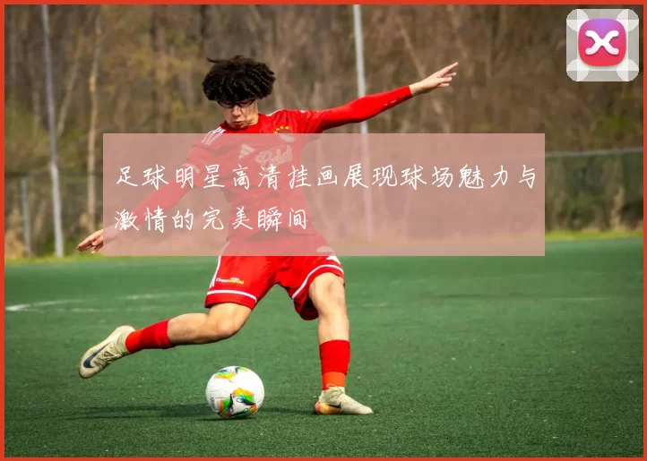 足球明星高清挂画展现球场魅力与激情的完美瞬间