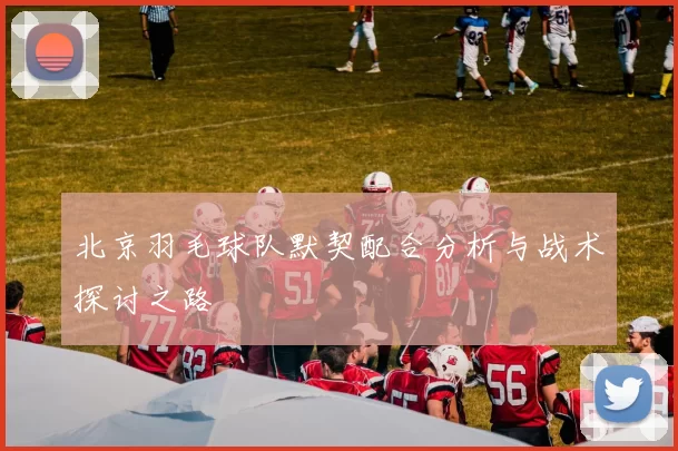北京羽毛球队默契配合分析与战术探讨之路