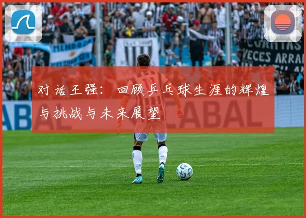 对话王强：回顾乒乓球生涯的辉煌与挑战与未来展望