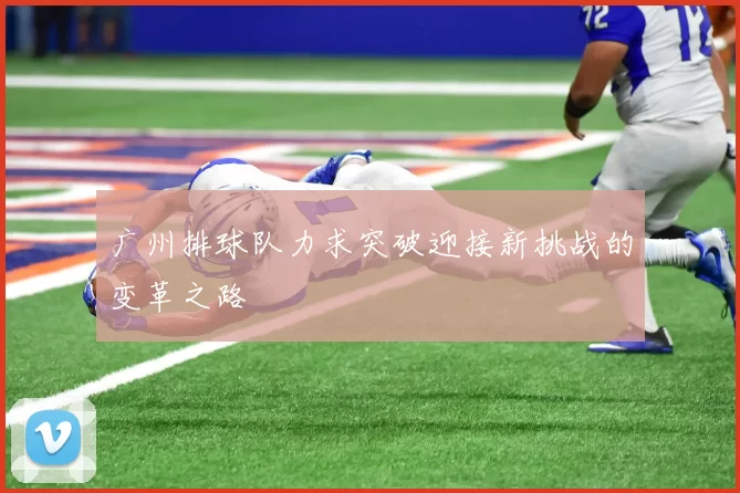 广州排球队力求突破迎接新挑战的变革之路