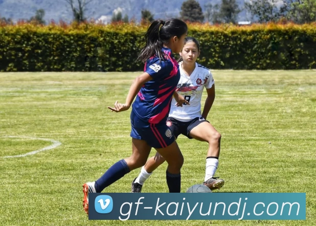 开云APPAPP 体育赛事宣传图